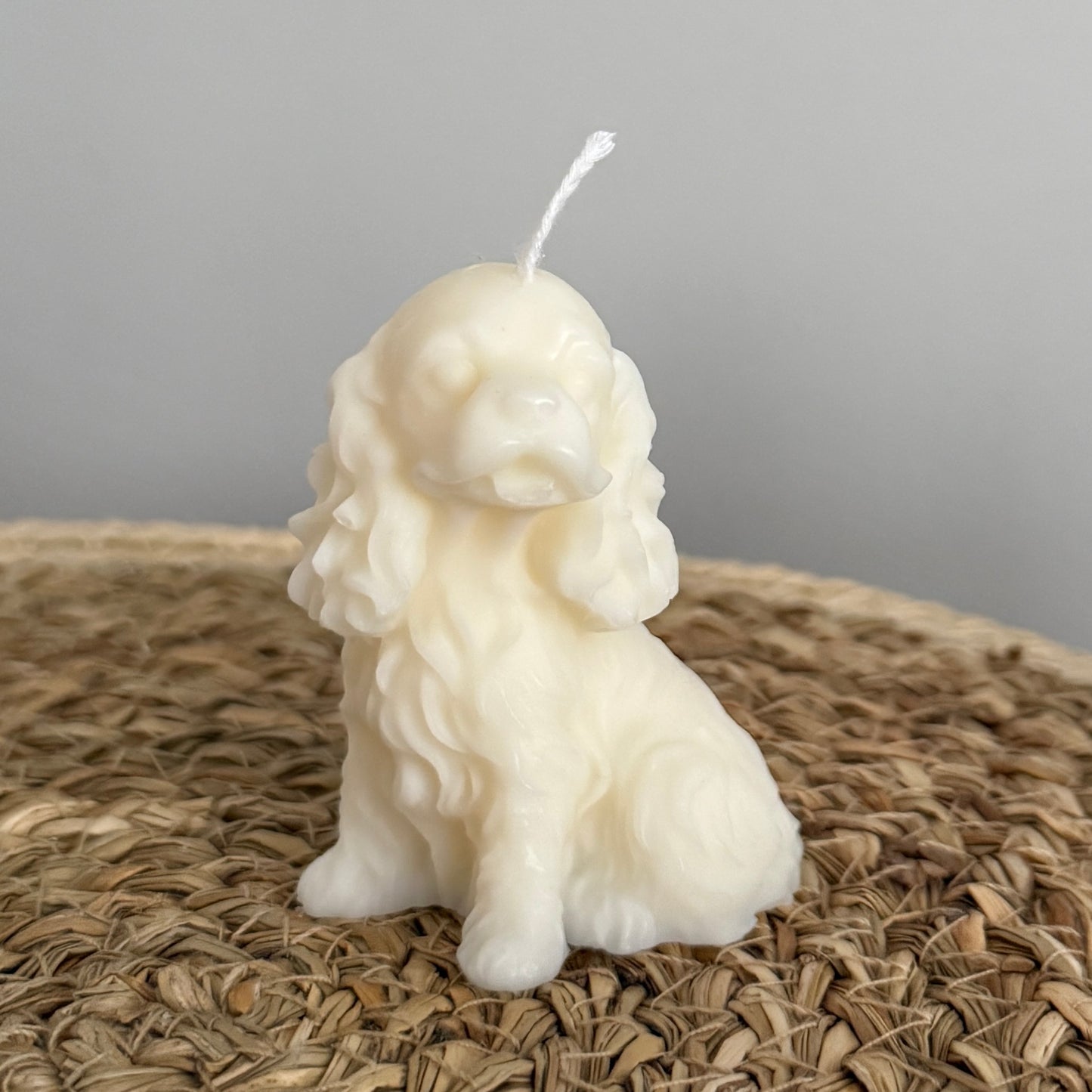Small Cavalier Dog Decorative Candle