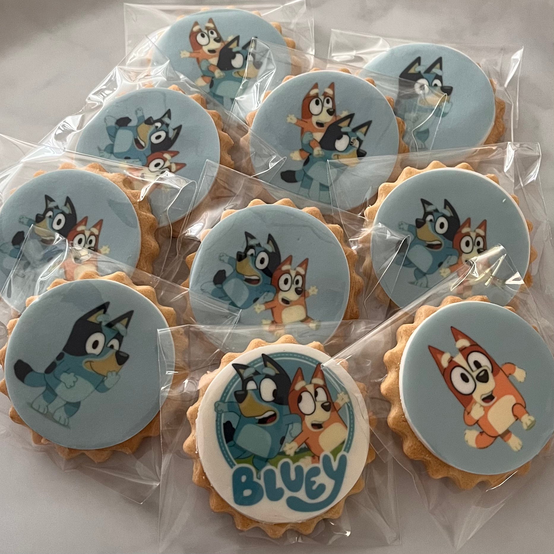 Bluey character biscuits at a fun-filled birthday party - Assorted Bluey and friends character biscuits displayed on a colorful party table