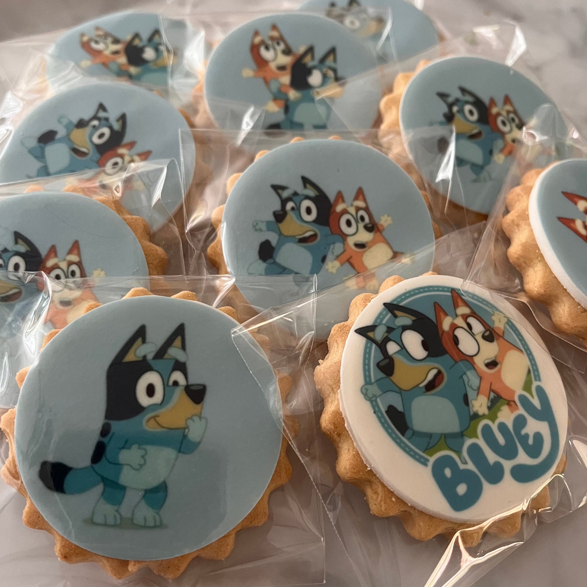 Bluey character biscuits at a fun-filled birthday party - Assorted Bluey and friends character biscuits displayed on a colorful party table
