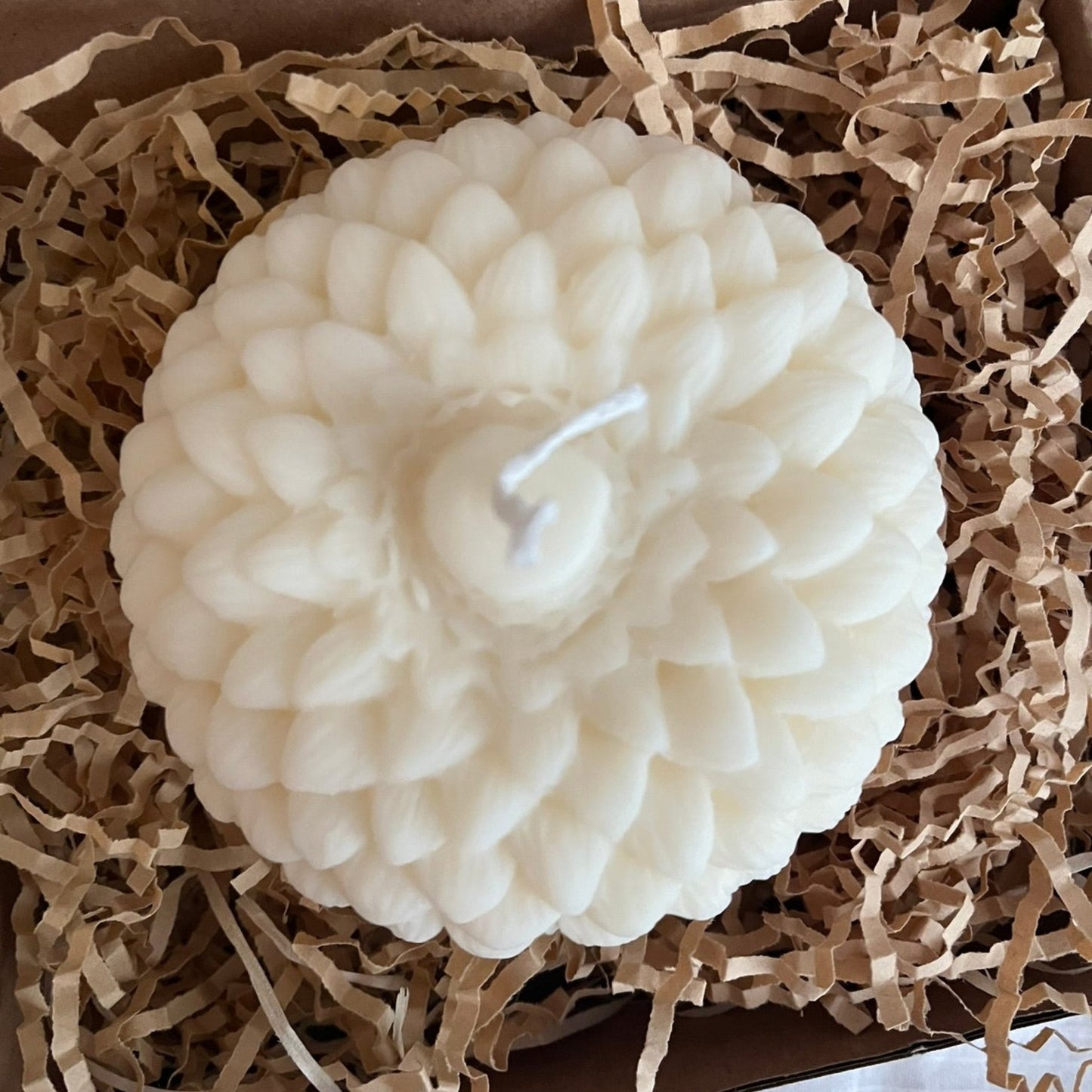 XL Acorn Candle