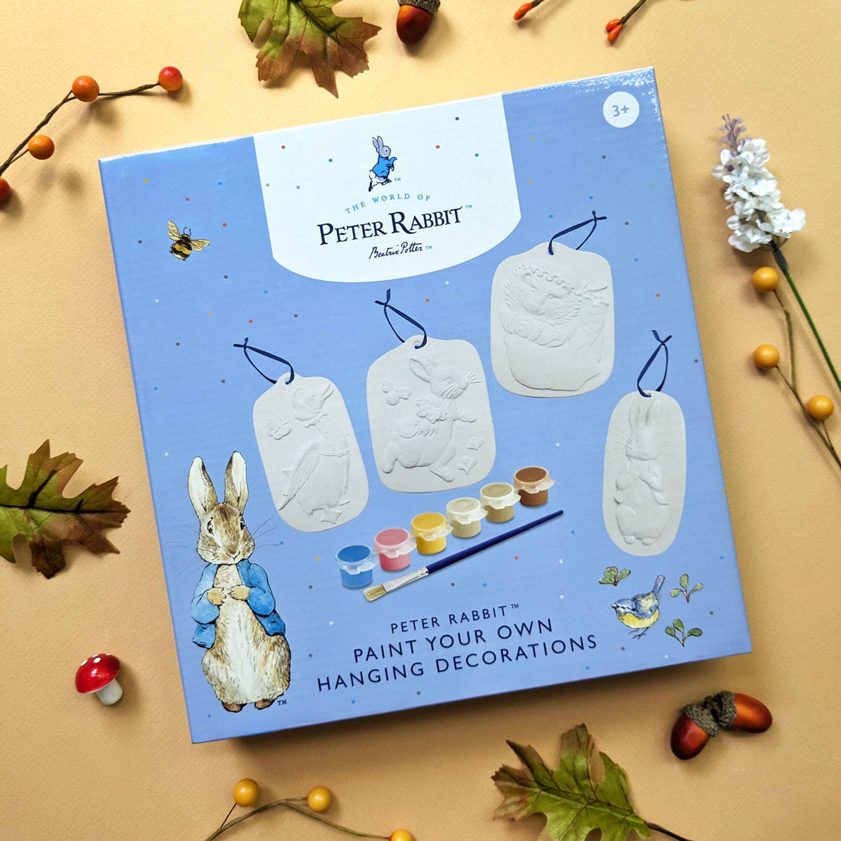 Peter Rabbit Paint Your Own Hanging Decorations - Children's Craft Kit