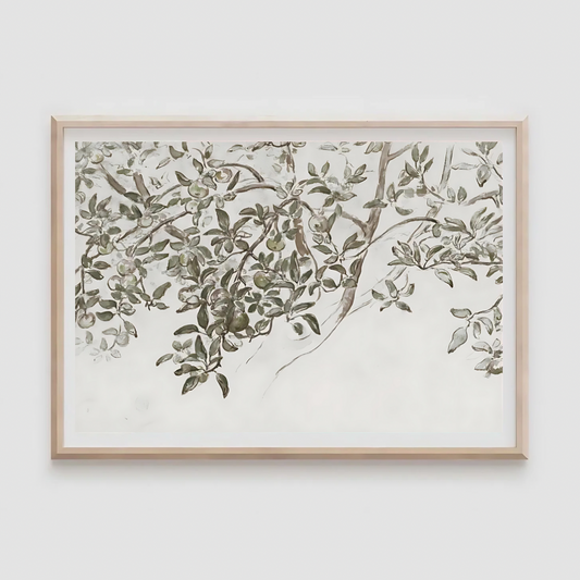 Trailing Olive Branch Print