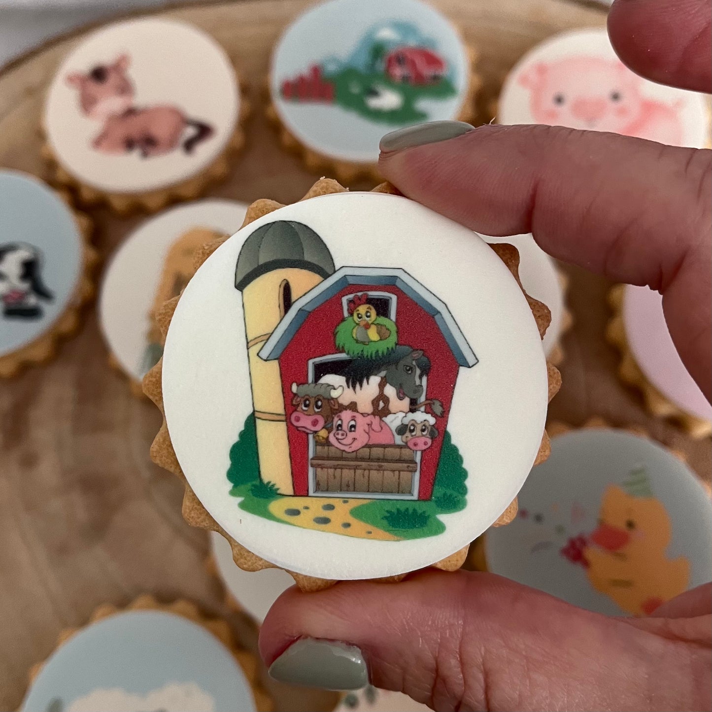 Custom farm-themed biscuits for a child's Farmyard Birthday Party" "Farmyard Birthday Party biscuits shaped like chickens and horses